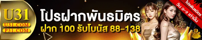 Pro U31 (3)